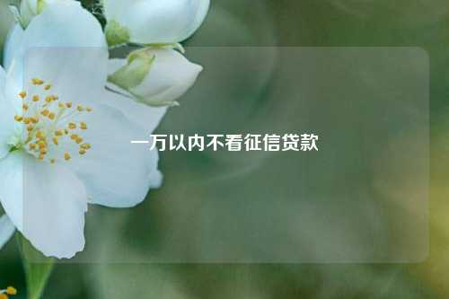 一万以内不看征信贷款