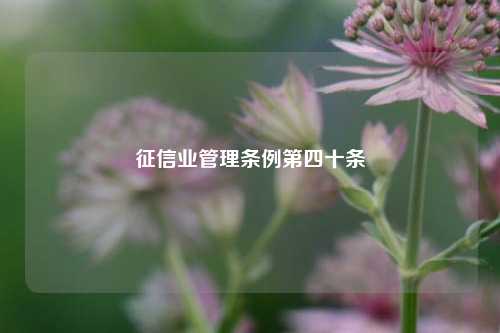 征信业管理条例第四十条